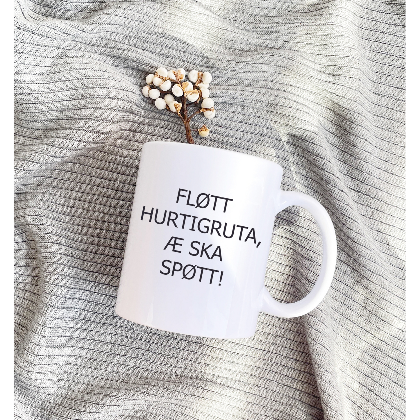 Fløtt hurtigruta, æ skal spøtt